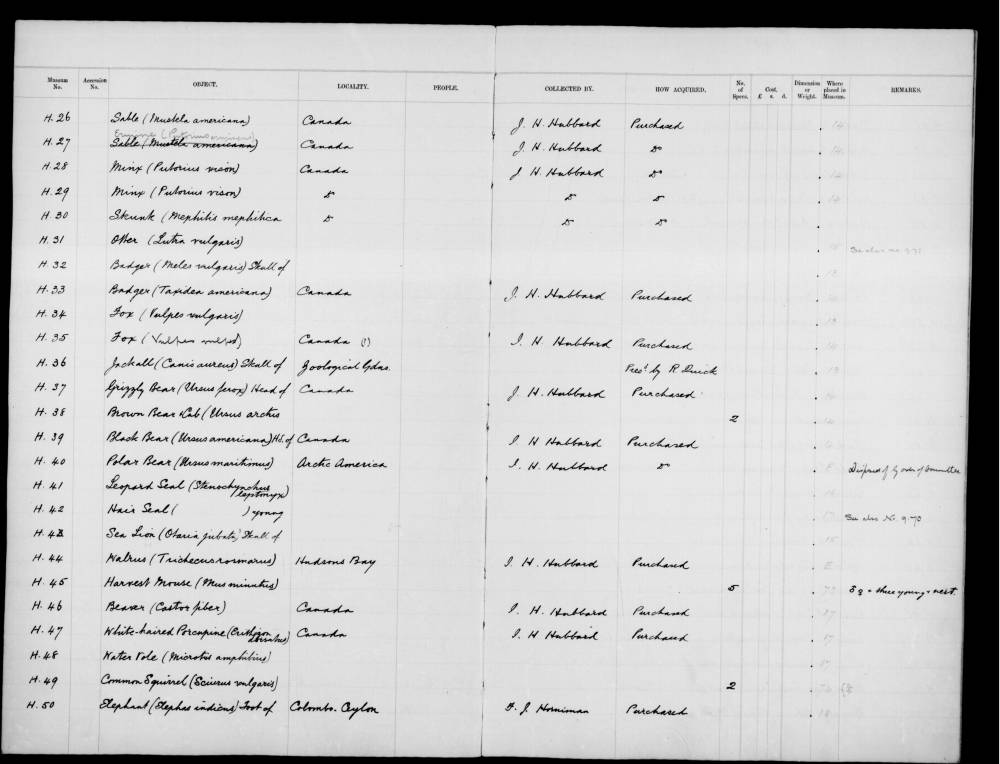 A page from the Horniman Museum's register of natural history specimens from 1900 to 1934, ARC/HMG/CM/001/008. Horniman Museum and Gardens