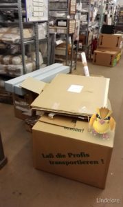 Pokemon in the admin's storage area